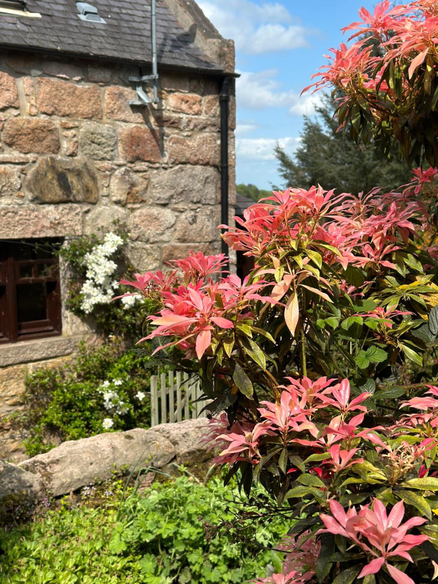 Awakening Alchemy Retreat Centre Bed & Breakfast Инвърури Екстериор снимка