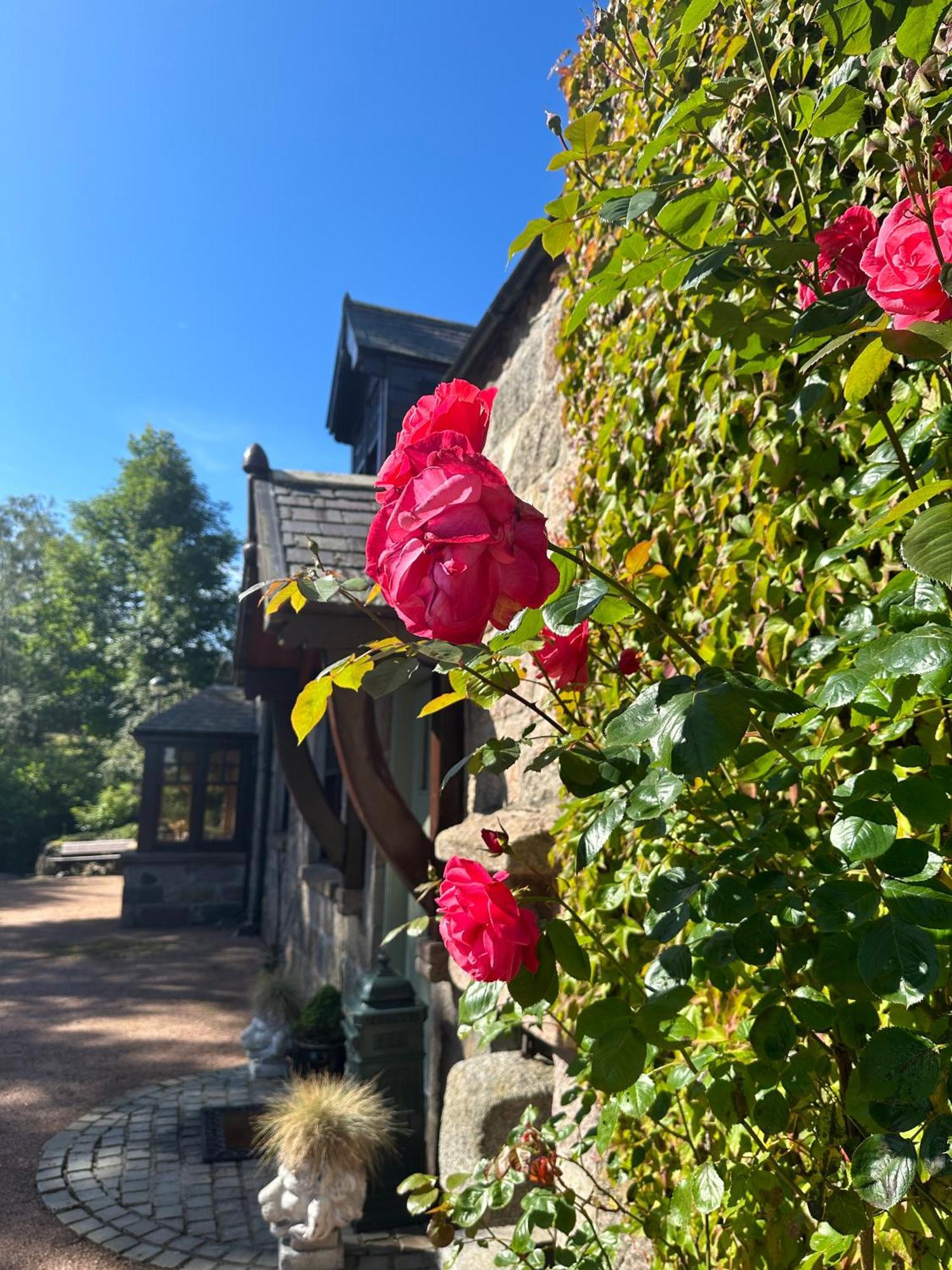 Awakening Alchemy Retreat Centre Bed & Breakfast Инвърури Екстериор снимка